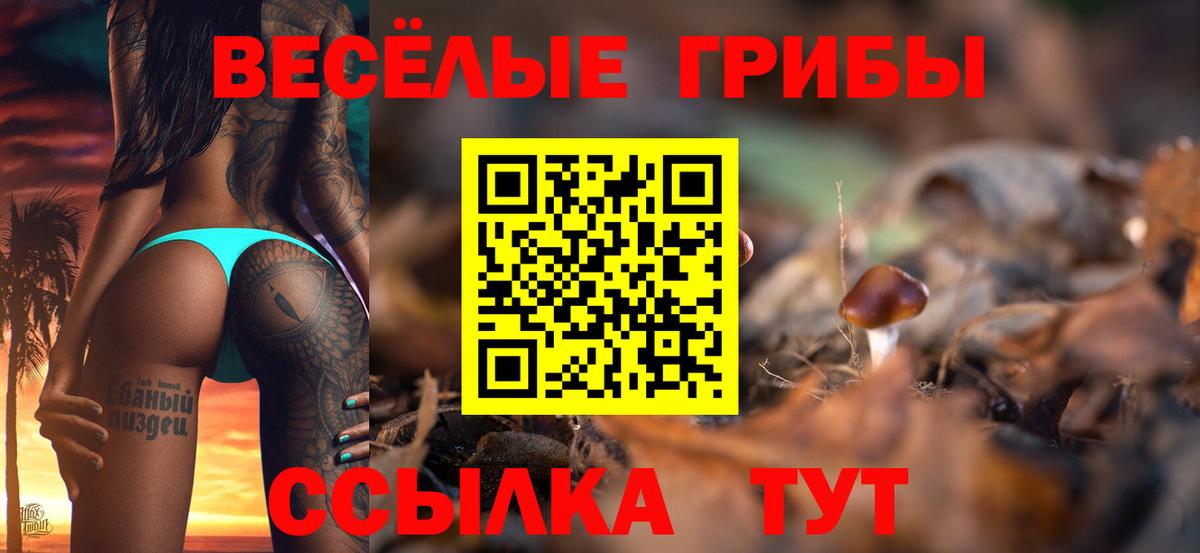 Усть-Илимск  Псилоцибиновые грибы MAGIC MUSHROOMS  Вход с VPN  Псилоцибиновые грибы прущие грибы 