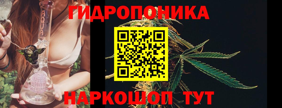 Конопля тримм  Канабис ГИДРОПОН  Вход с VPN  Бошки Шишки Amnesia  Усть-Илимск  Конопля AK-47 
